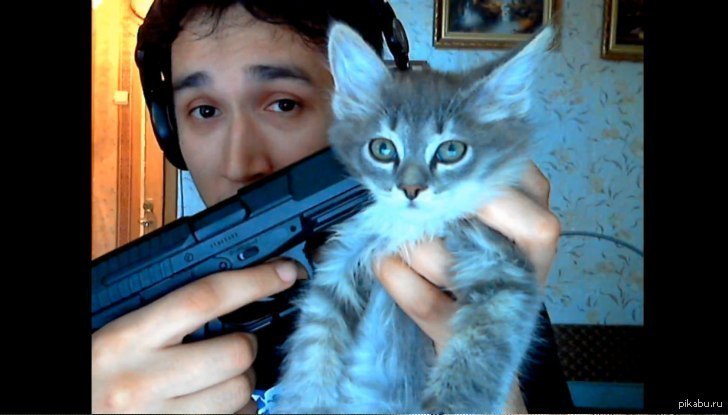 killthecat.jpg